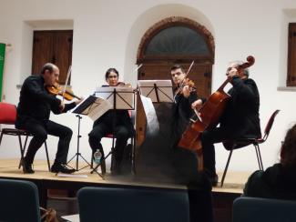 Ensemble Ellipses
